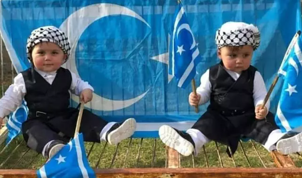 Türk Soylular ve Türkiye’nin Politik Tutumu (Bölüm 3): Irak Türkmenlerinin Geleceğine Dair Kamu Politikası Önerileri